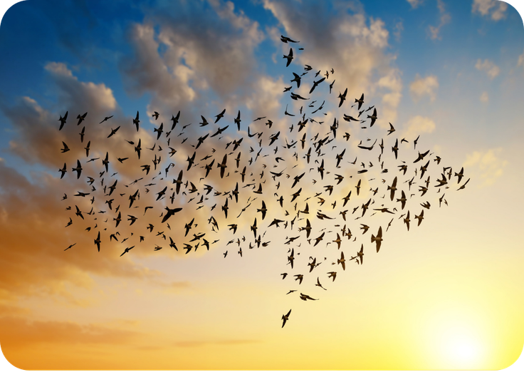 3 Best Practices that Ensure a Successful Cloud Migration | GlobalCX