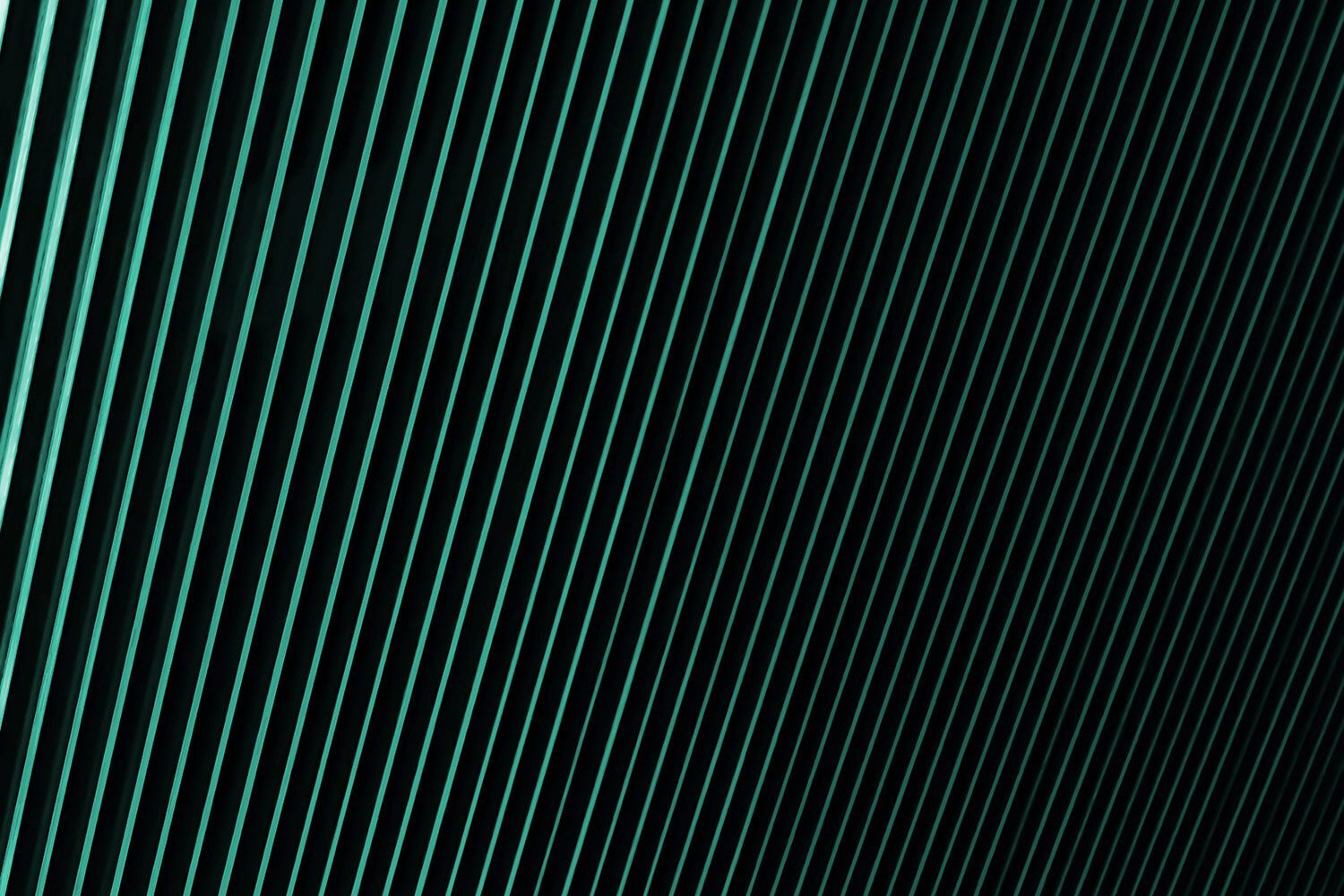 pbj-Contact-hero-banner