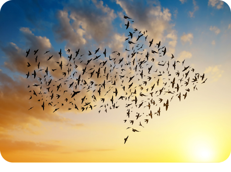 3 Best Practices that Ensure a Successful Cloud Migration